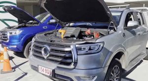 Common GWM Cannon-X Problems